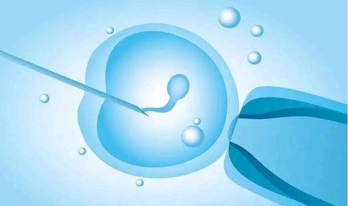 <b>广州在胚胎可以代孕吗|吴忠试管价格 试管婴儿穿刺取精会影响配对成功率吗？</b>