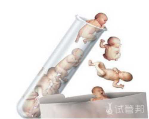 广州最大的助孕公司优贝贝在哪里,广州爱贝壳科技有限公司怎么样？