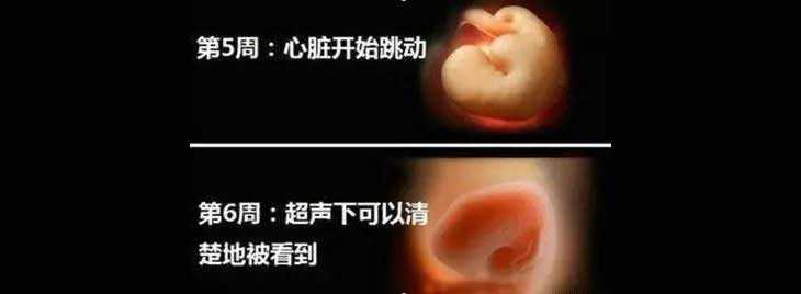 江安县做代妈哪个地区好点,试管婴儿胚胎移植后孕酮低，要不要用黄体酮保胎