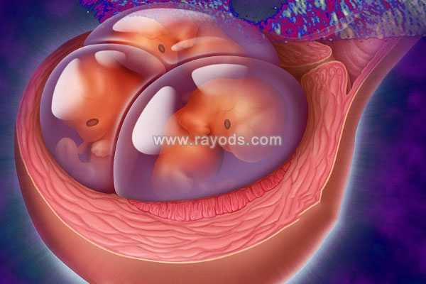 通海县39岁试管婴儿生儿子过程_关于试管婴儿囊胚培养移植的那些事