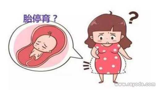 市中区好孕妈妈简介_市中区日本代母产子的好处_为什么说试管三代基本不会胎