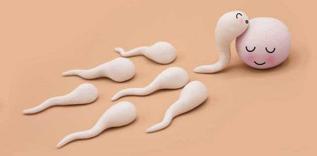 精子数量一直在稳步下降，选择冻结你的精子吗？