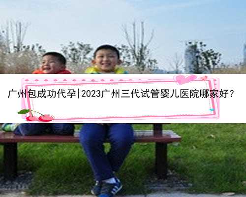 广州包成功代孕|2023广州三代试