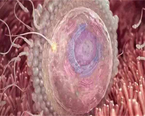 不孕不育费用清单