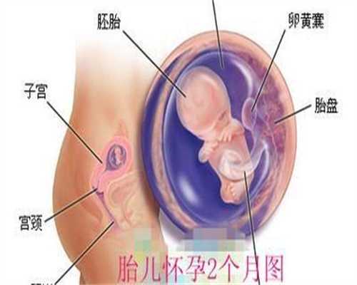 内分泌性不孕试管
