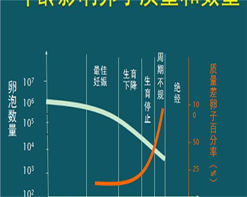 宫腔镜检查不孕